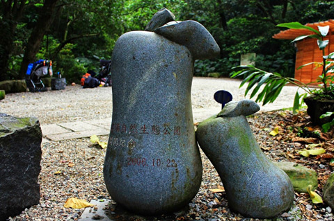 富陽生態05.jpg