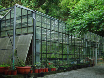 芝山文化生態綠園1.jpg